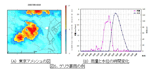 テキスト ボックス:  
（A） 東京アメッシュの図　　　　　　　　　　　　（B） 雨量と水位の時間変化
図５．ゲリラ豪雨の例

